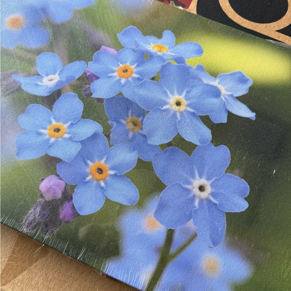 Forget Me Not by Lior2 Painting